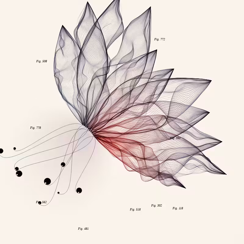 Herbarium #972