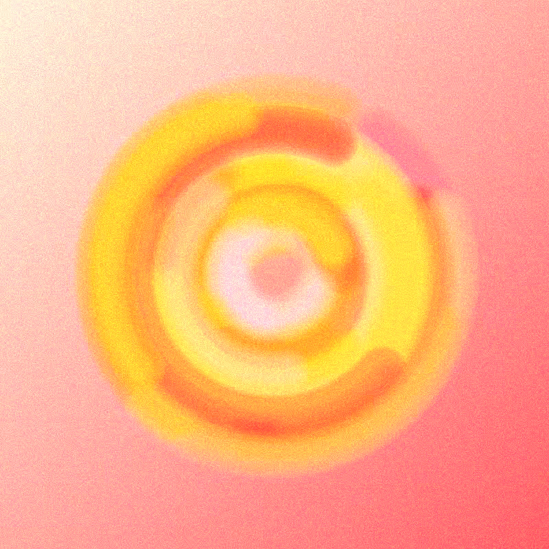 Wisp #425