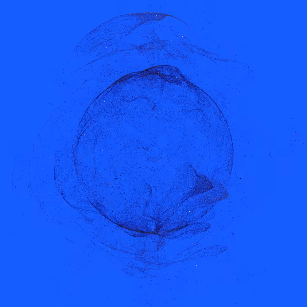 Entangled #145