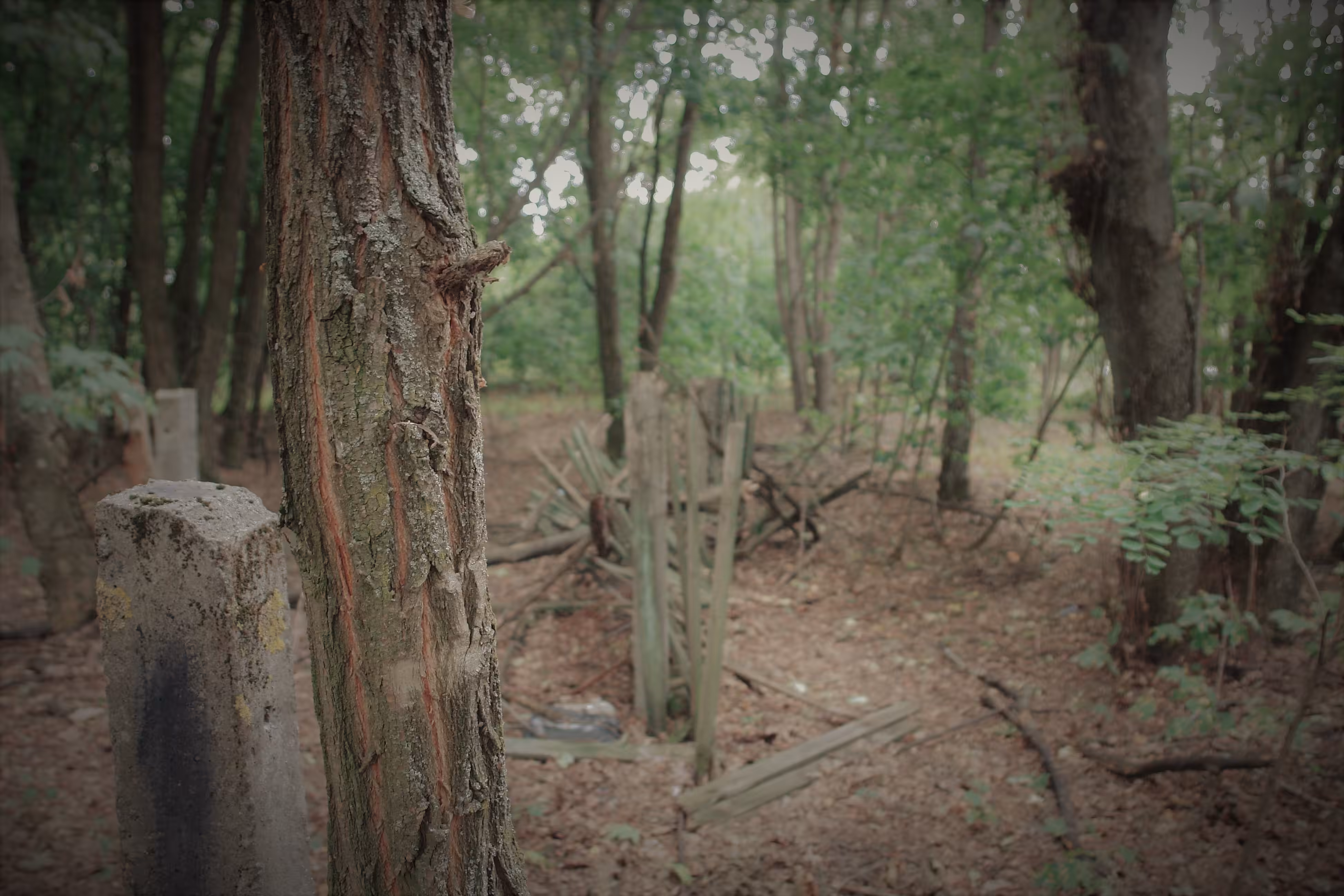 Photographic details (22)