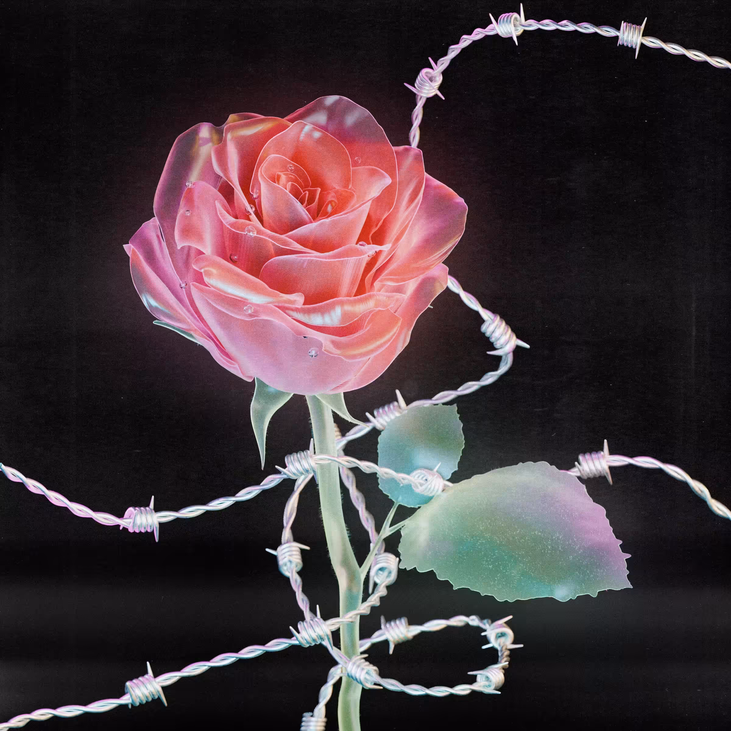 Flower #42 by Olivia Pedigo