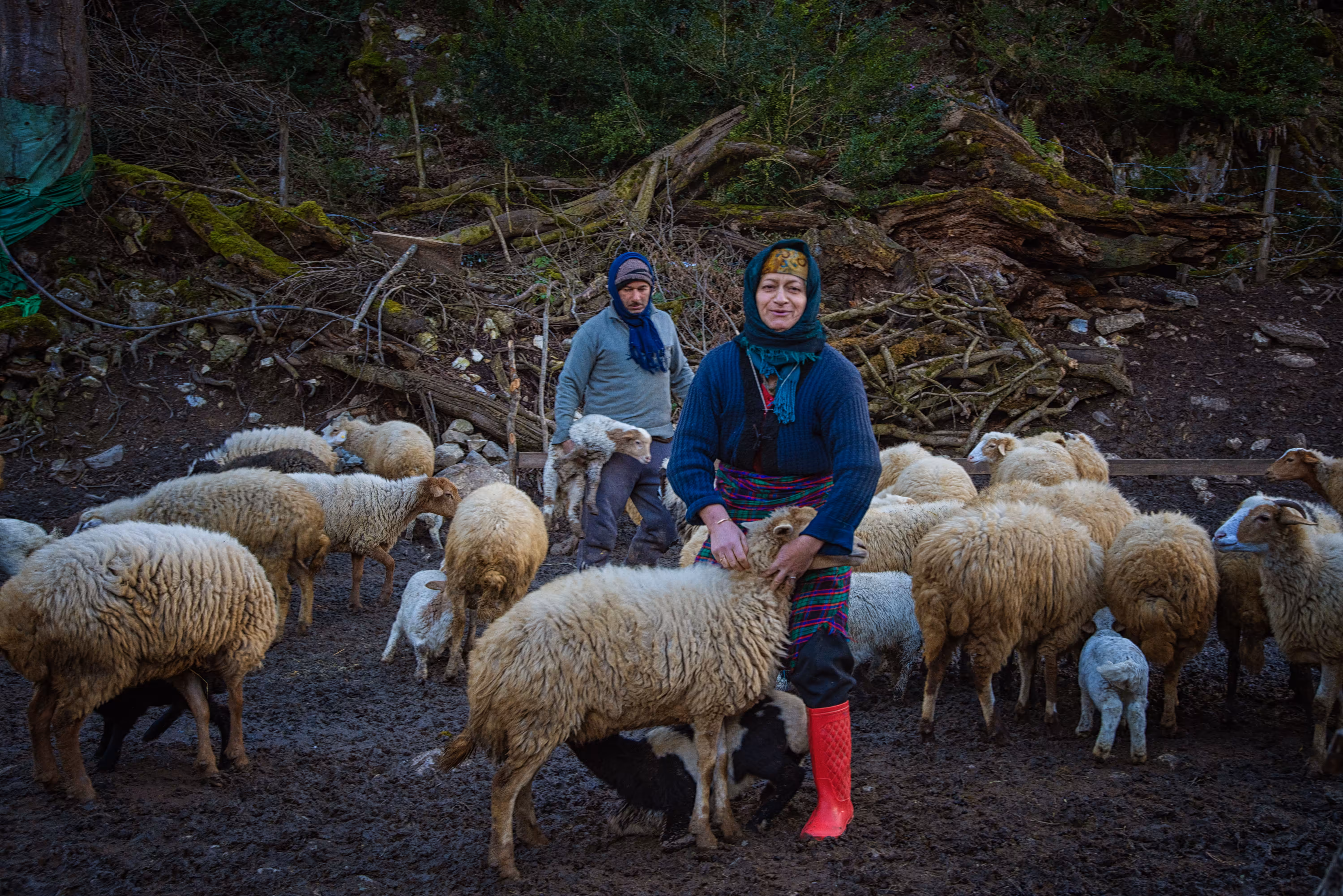 Farmers