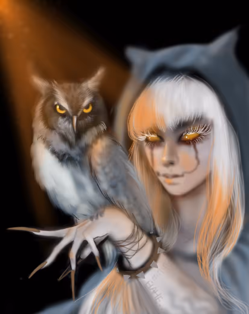 OWL🦉