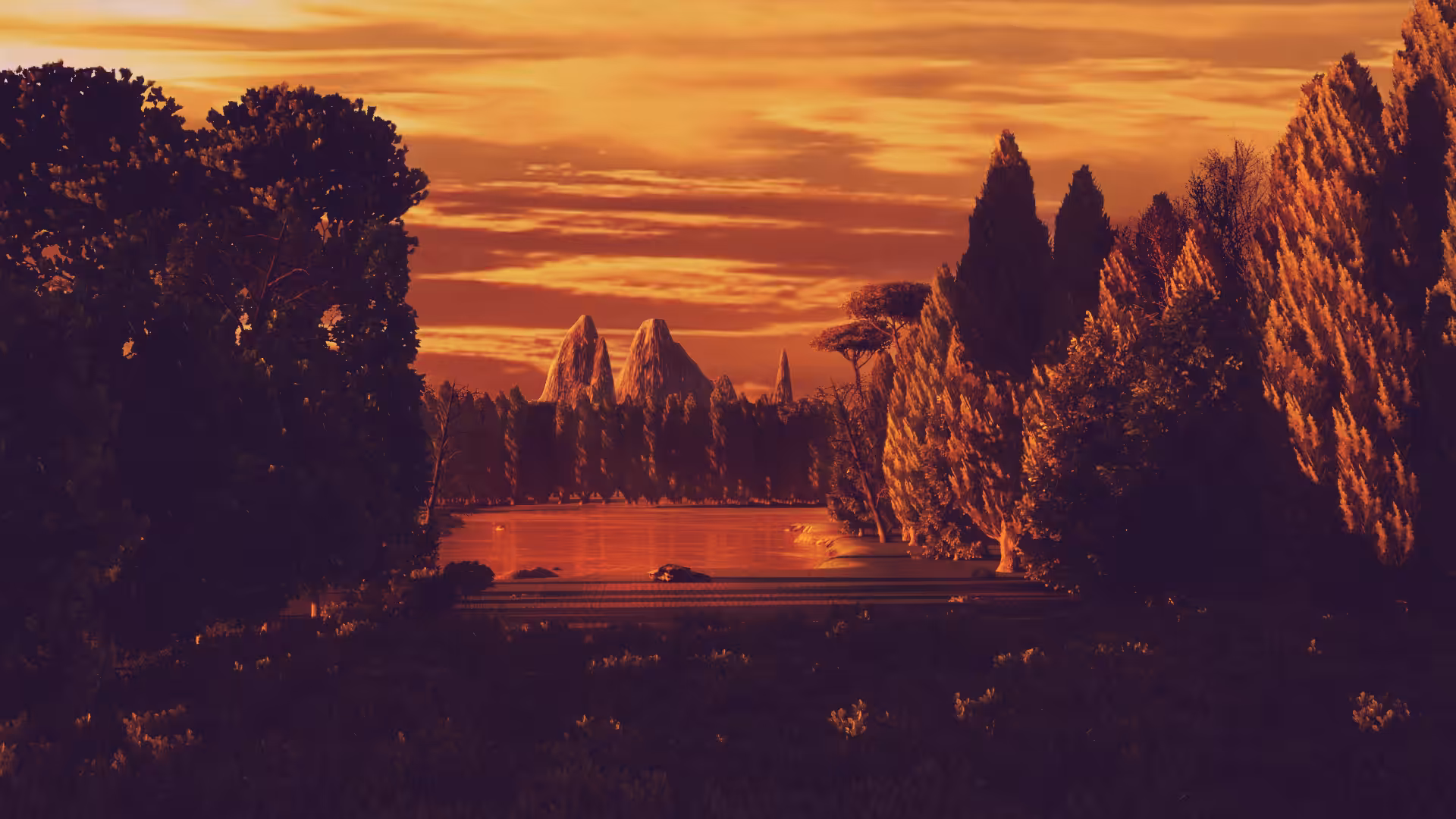 The Sunset