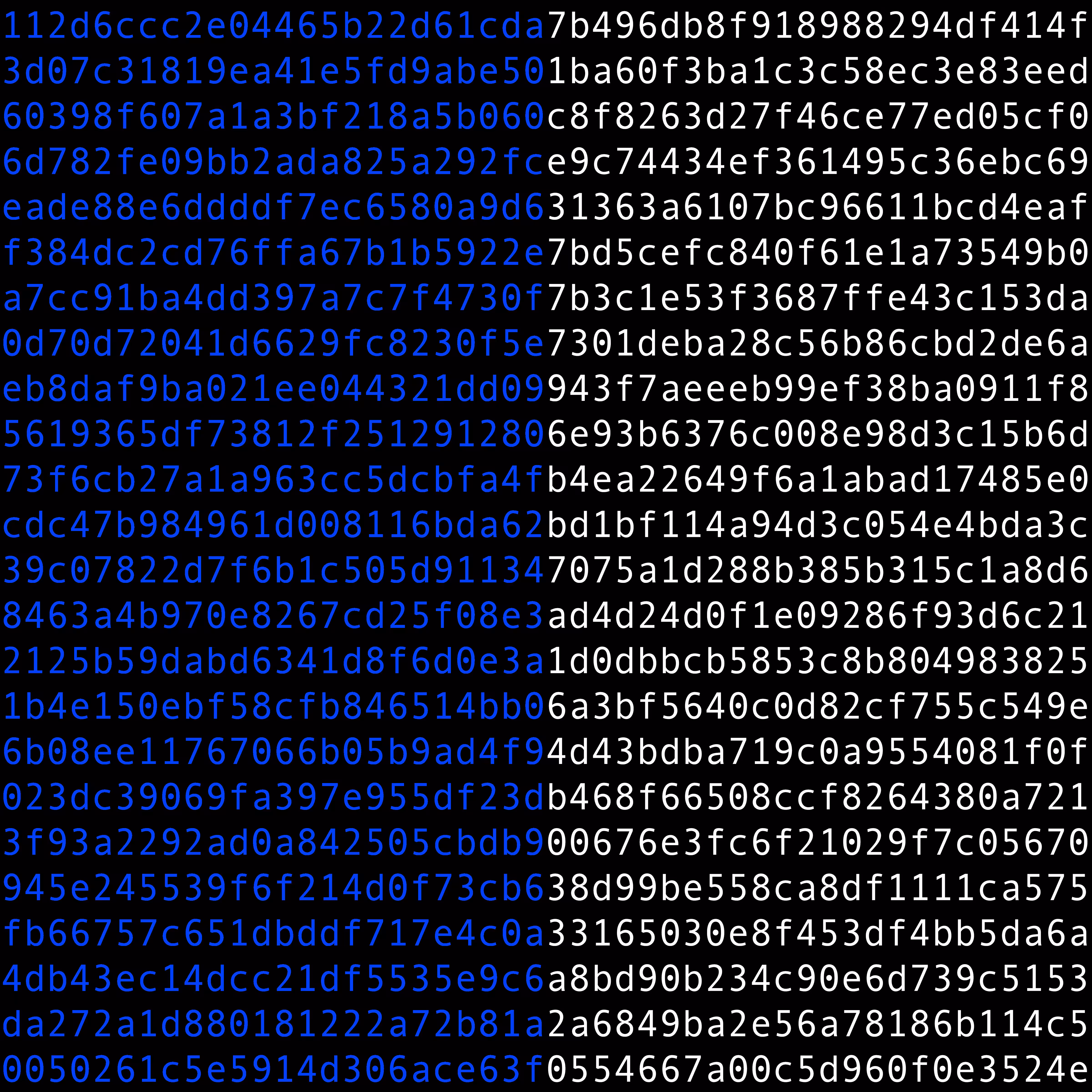 1111 #0694