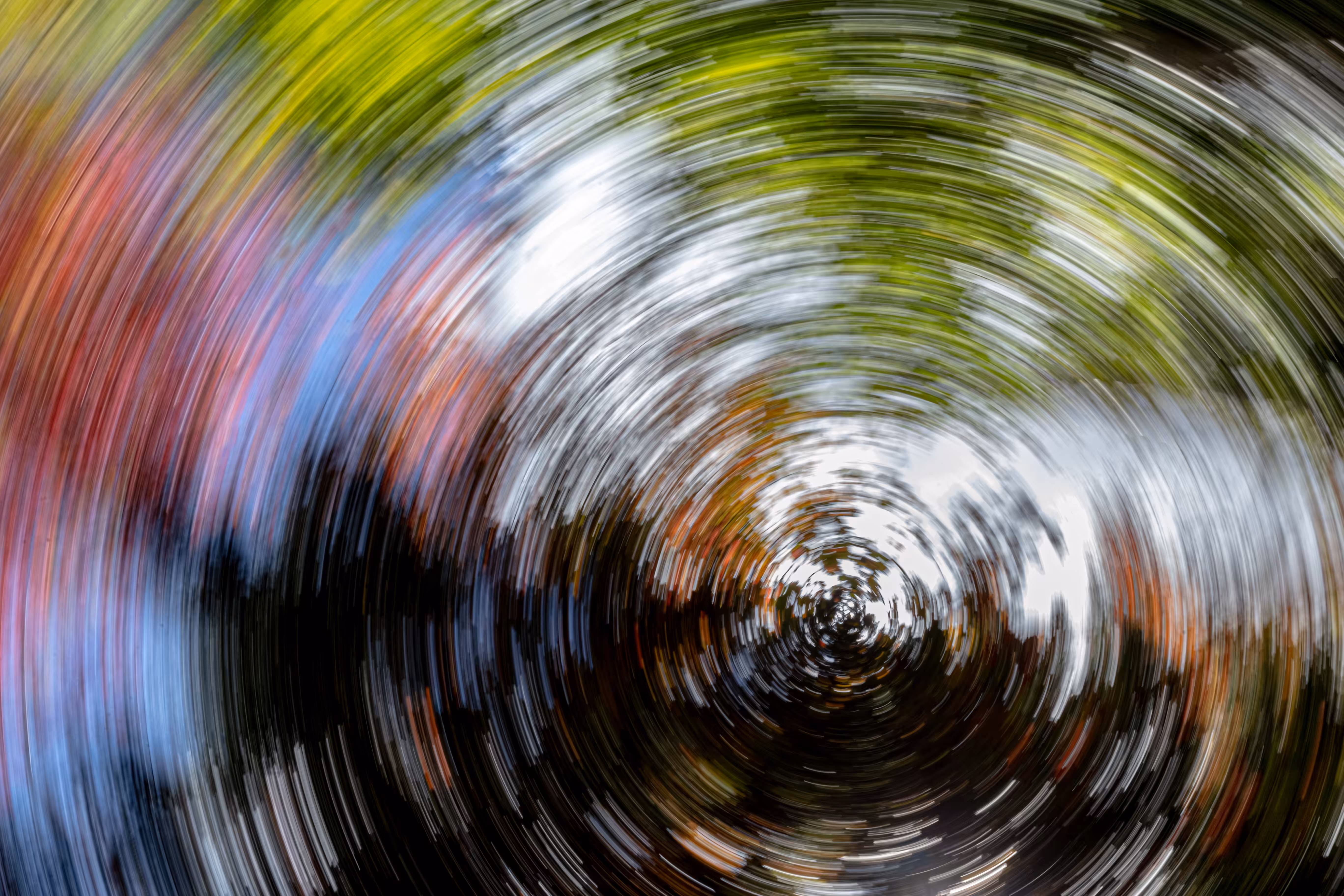 Tree Rings #48 - Kaleidoscope