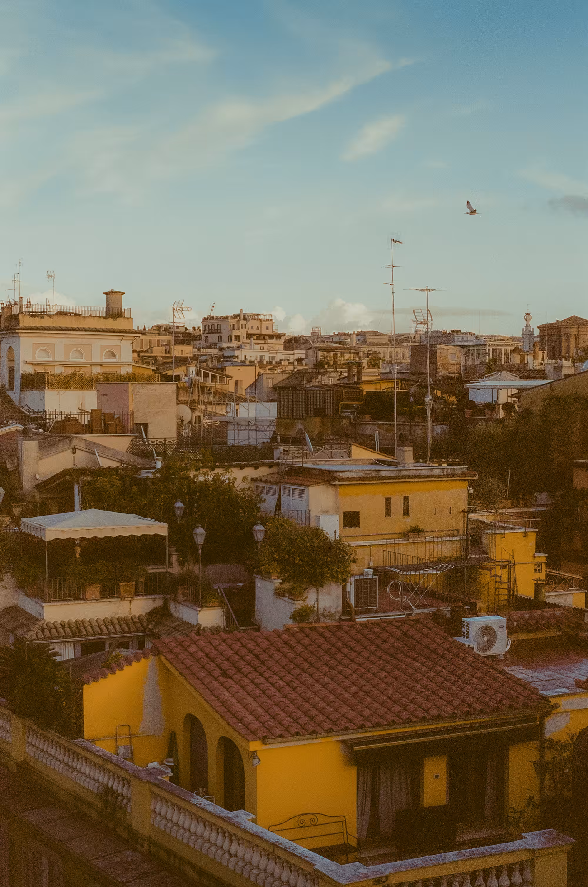 Rooftops of Rome 