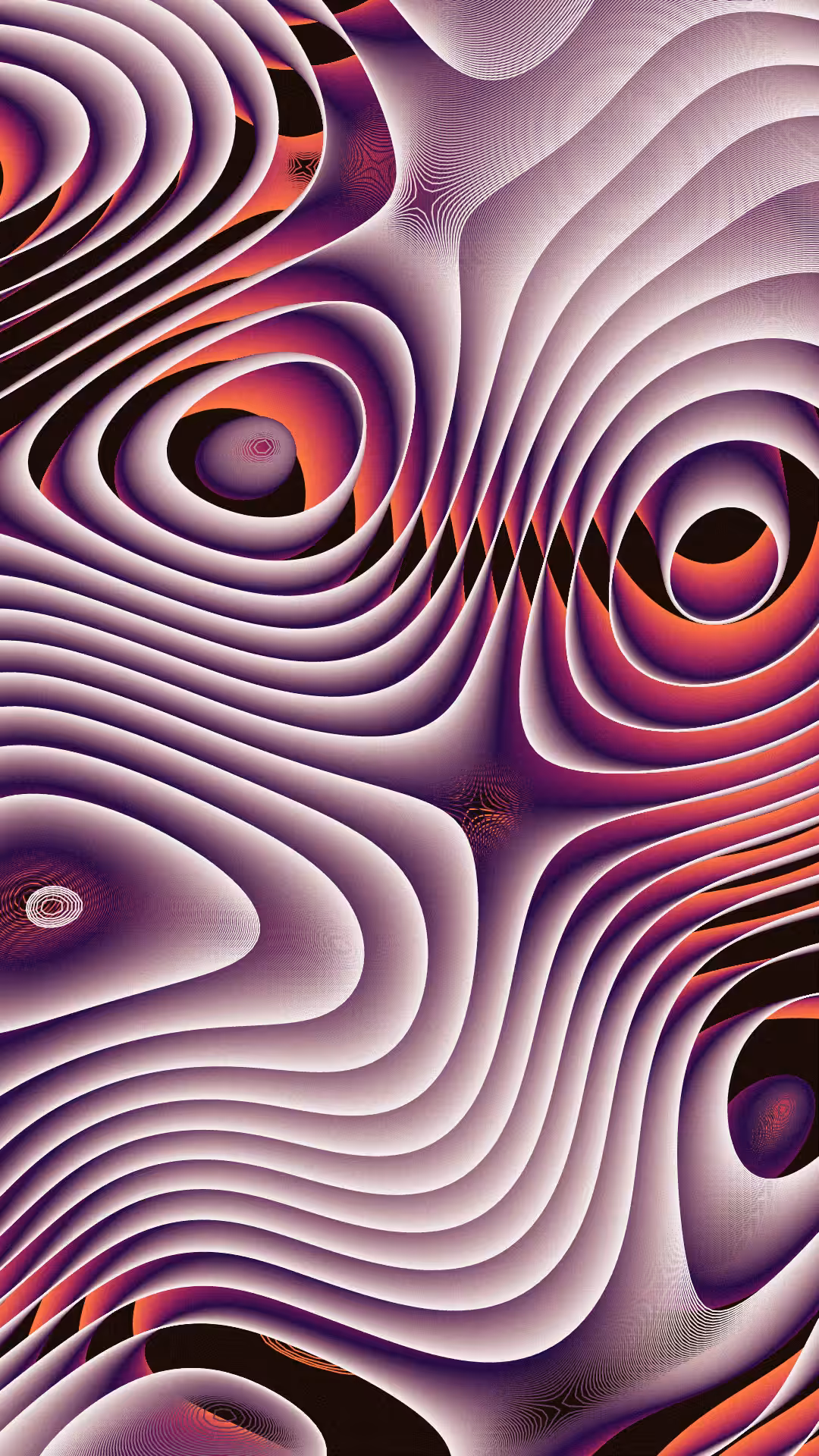 FLUID 2.0 #8