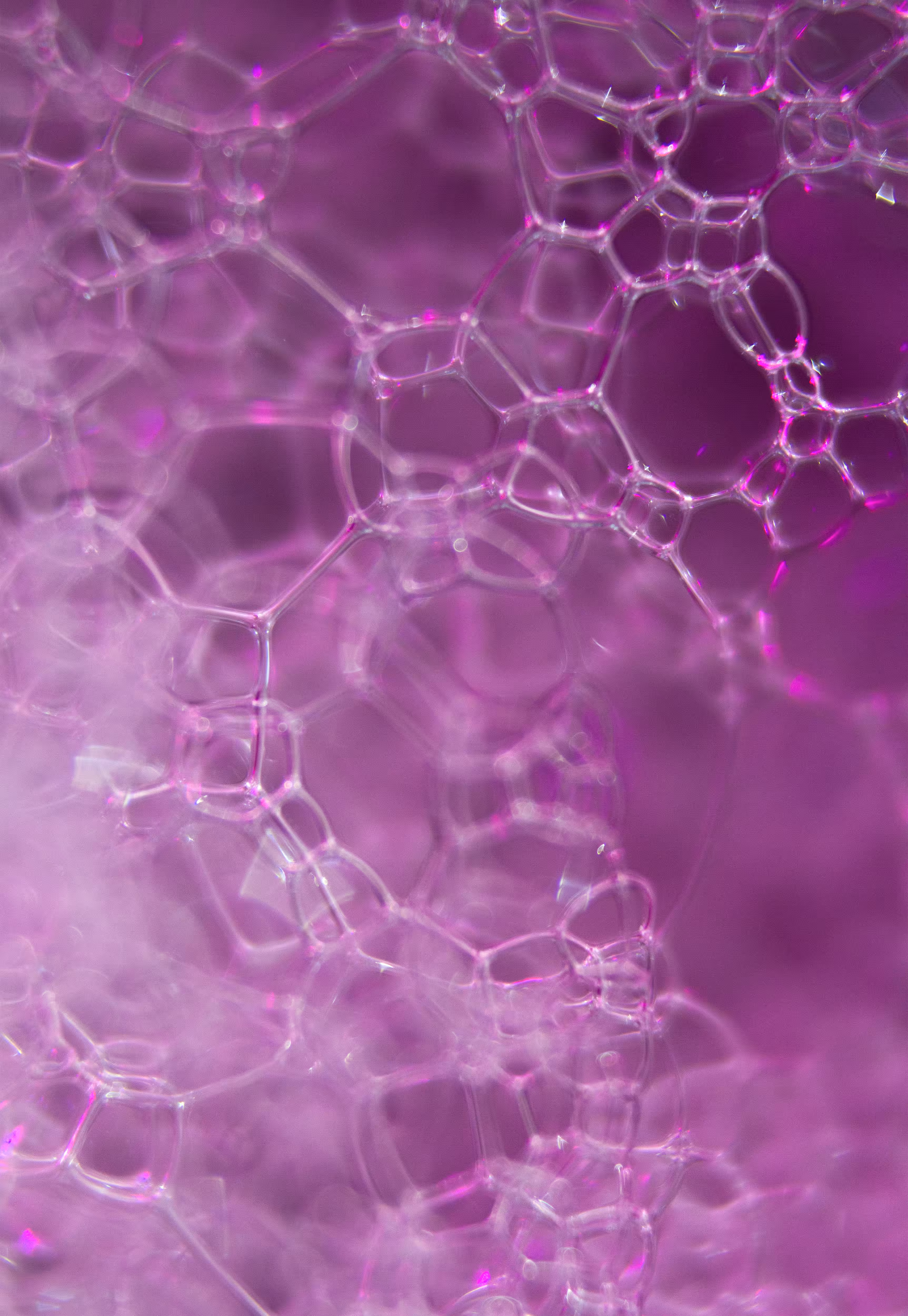 Abstract World of Soap Bubbles: #76 Bubbles