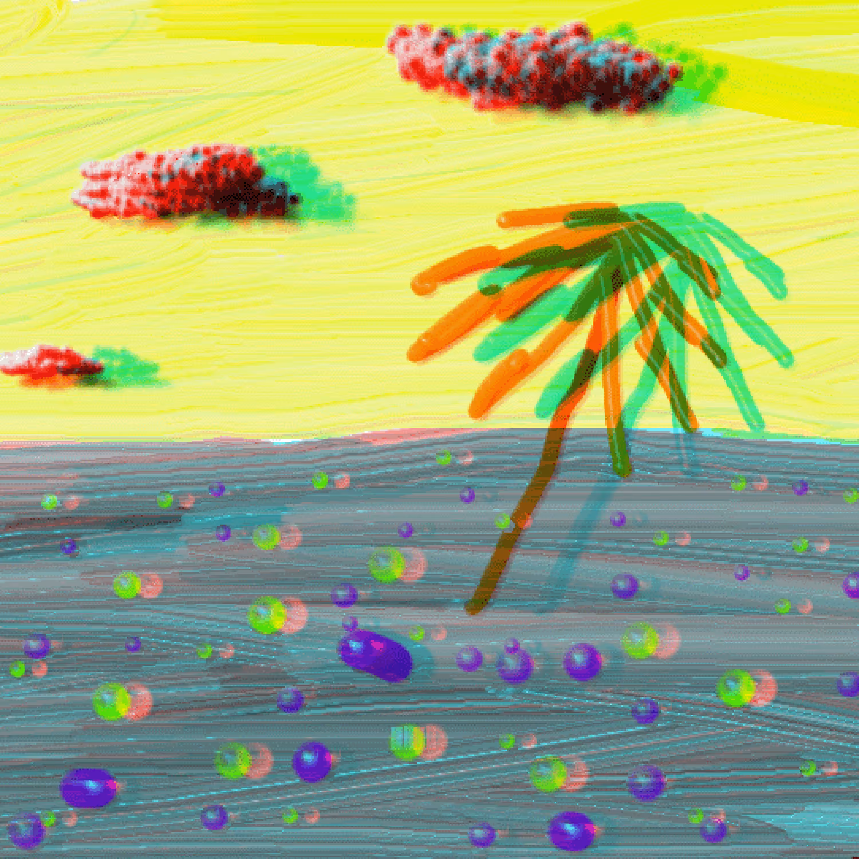 palm