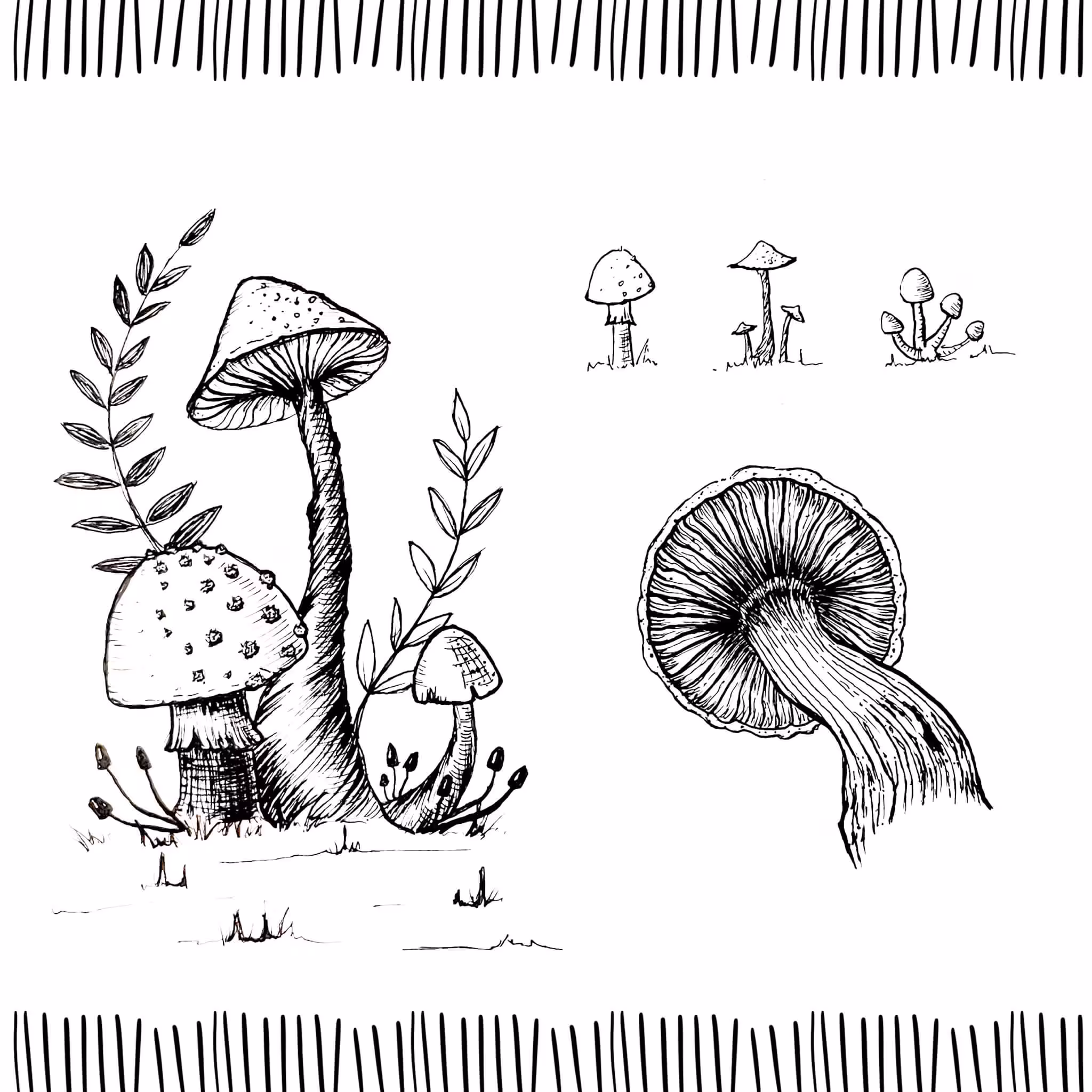 Mushroom party