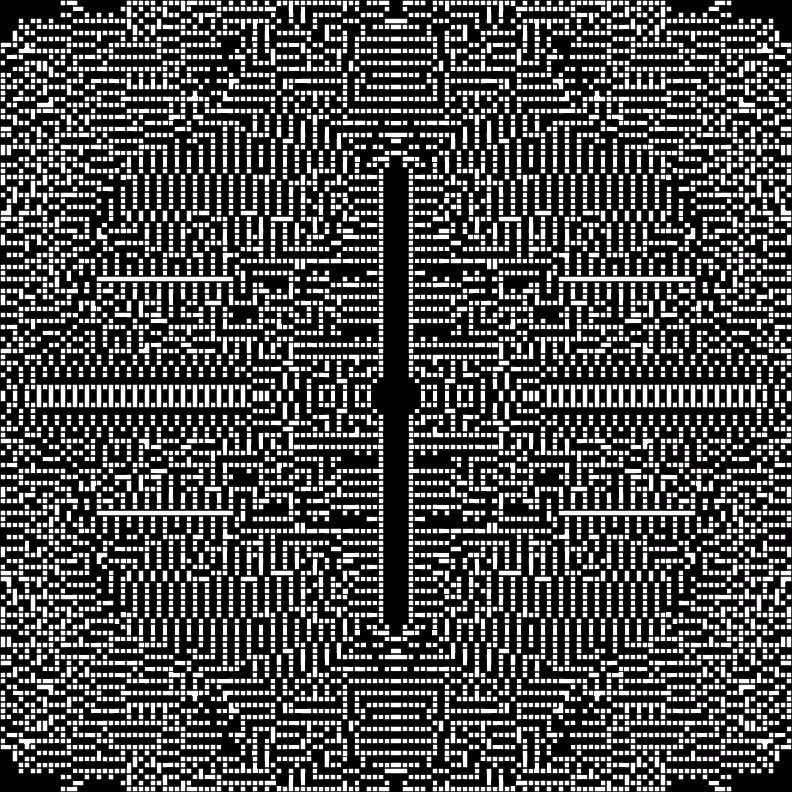 Cellular Canvas #298