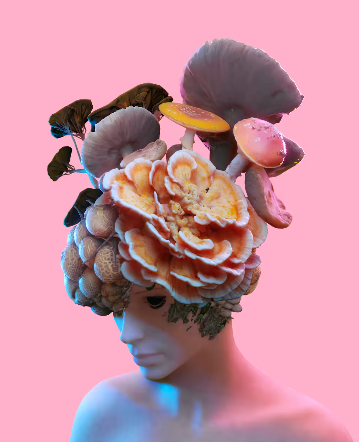 The Mushroom is the Elf of Plants