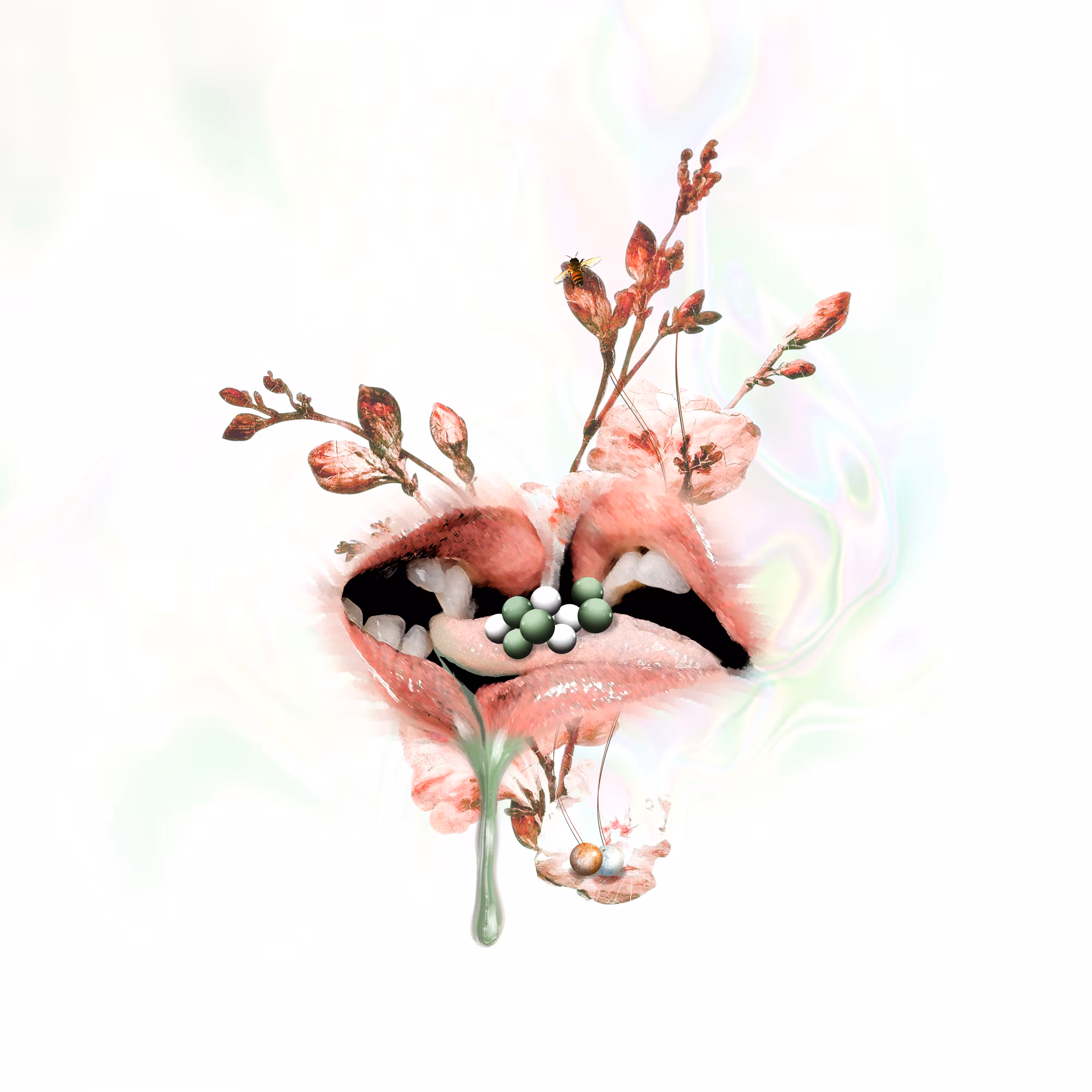 Seeds of passion