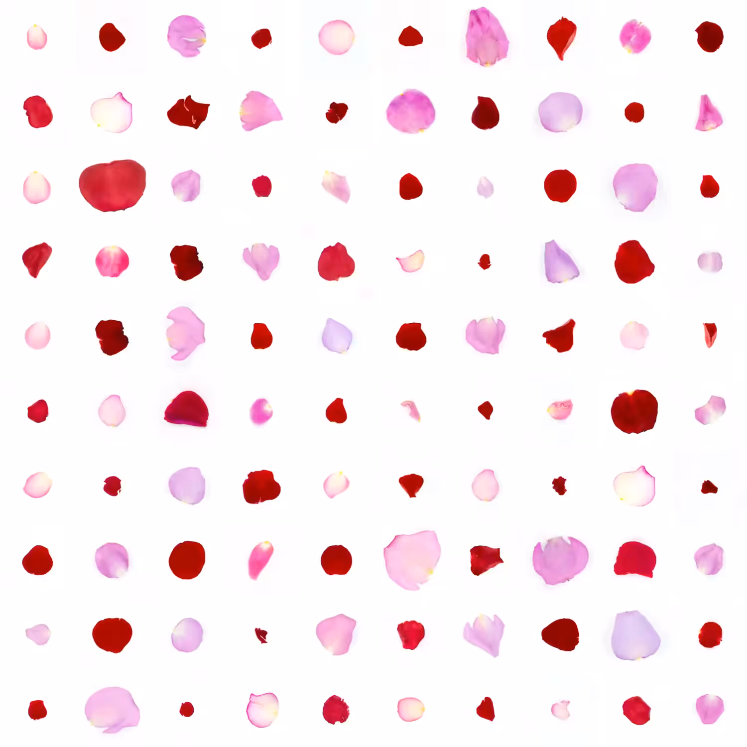 Infinite Petals 10x10#1637