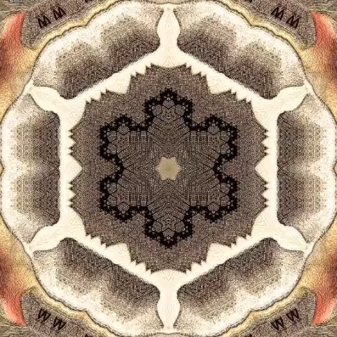 Echo inside 