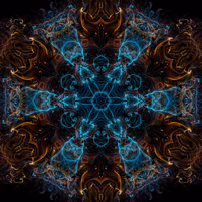 nighttime in the garden #27