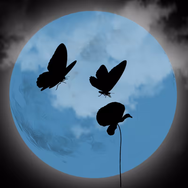 We Care...Butterfly #11