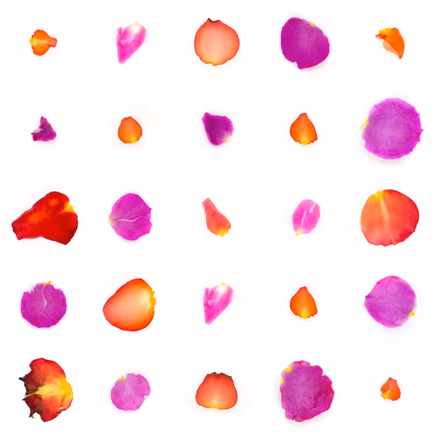 Infinite Petals 5x5#18