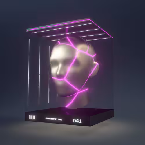 Fracture Boi: FRACTURE BOI - 041