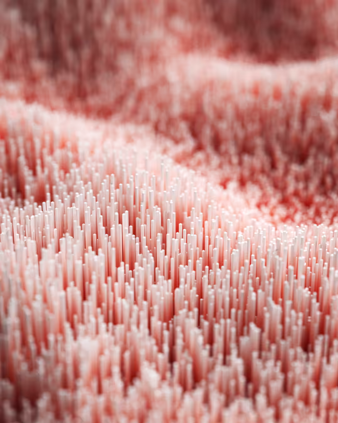 Landscape in motion 