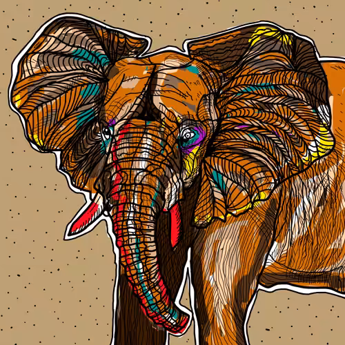 Elephant,6
