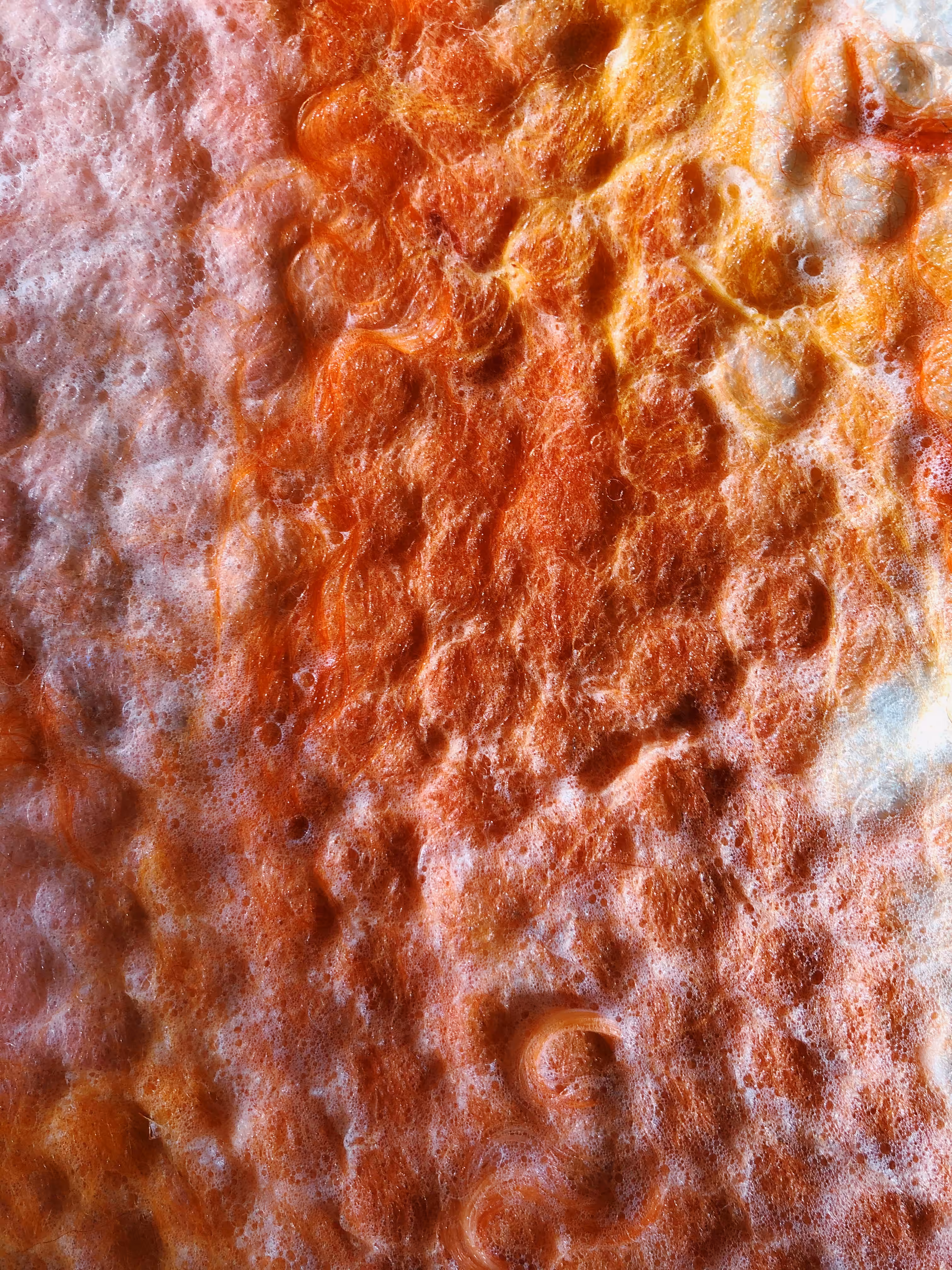 Honeycomb