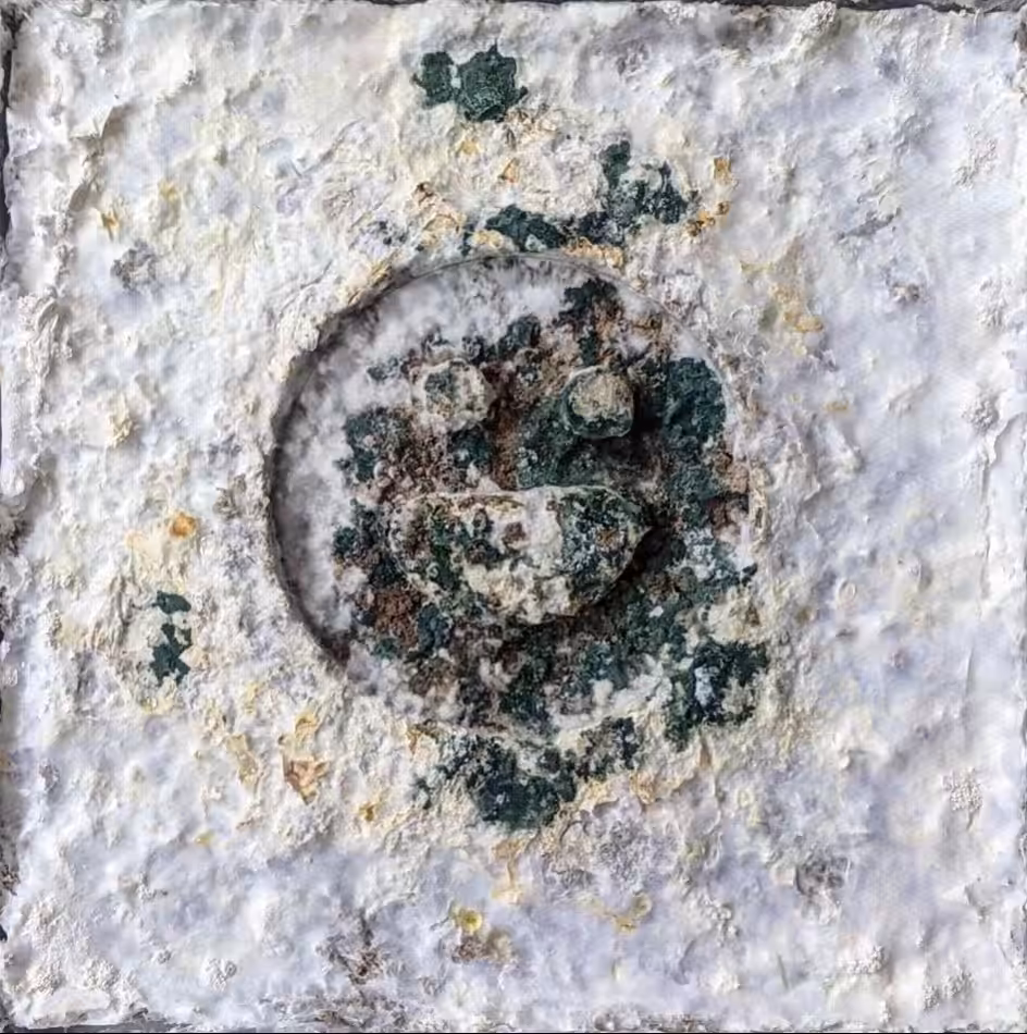 BREATHE - Artivive & ArteQ: Between Death and Life by Ansh & Raghav Kumar | Tiny farm Lab
