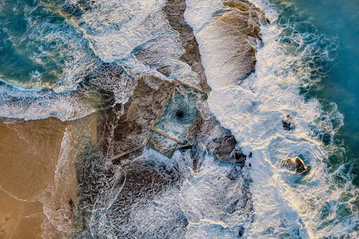 ~ VORTEX ~