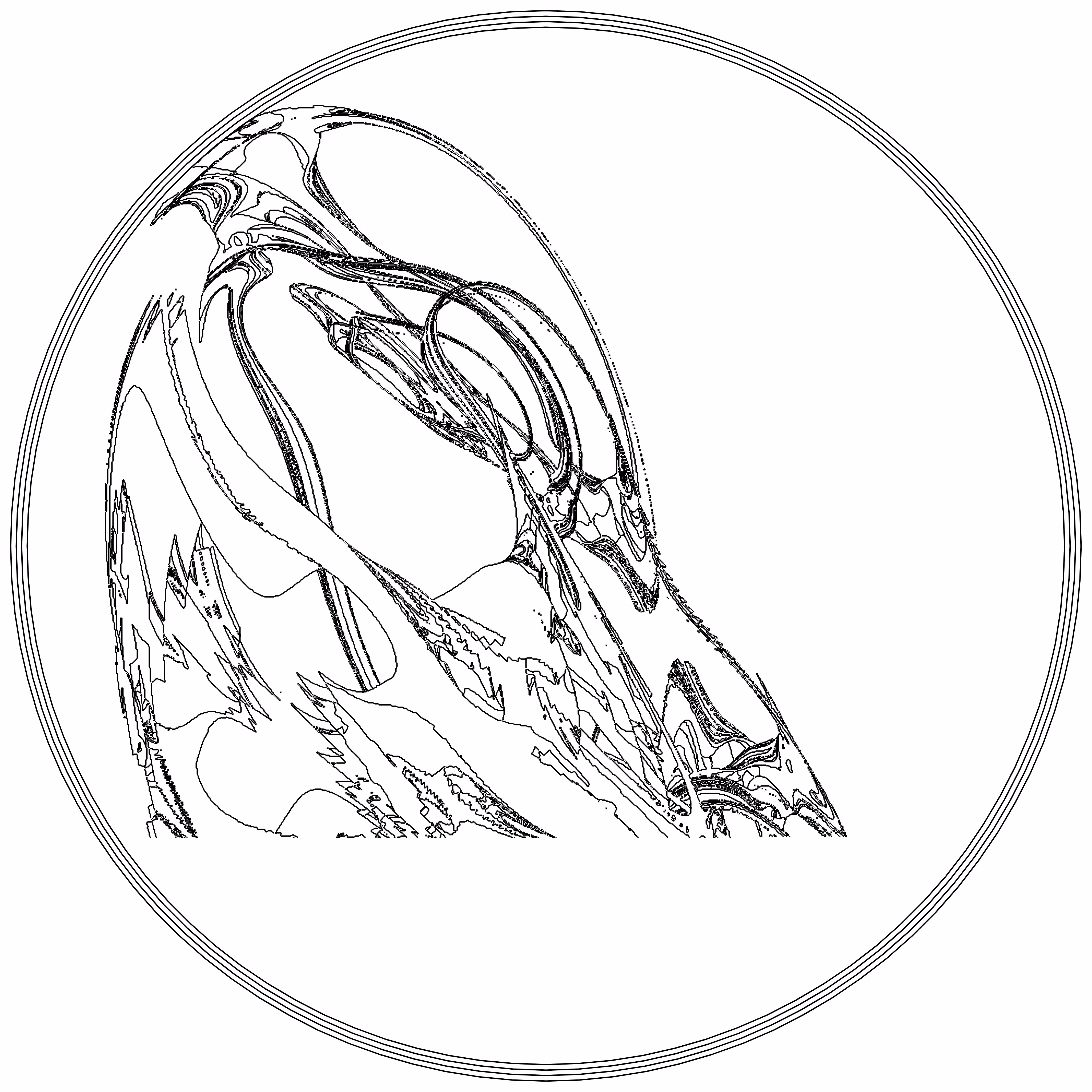 LL21 Fractal Contour #26