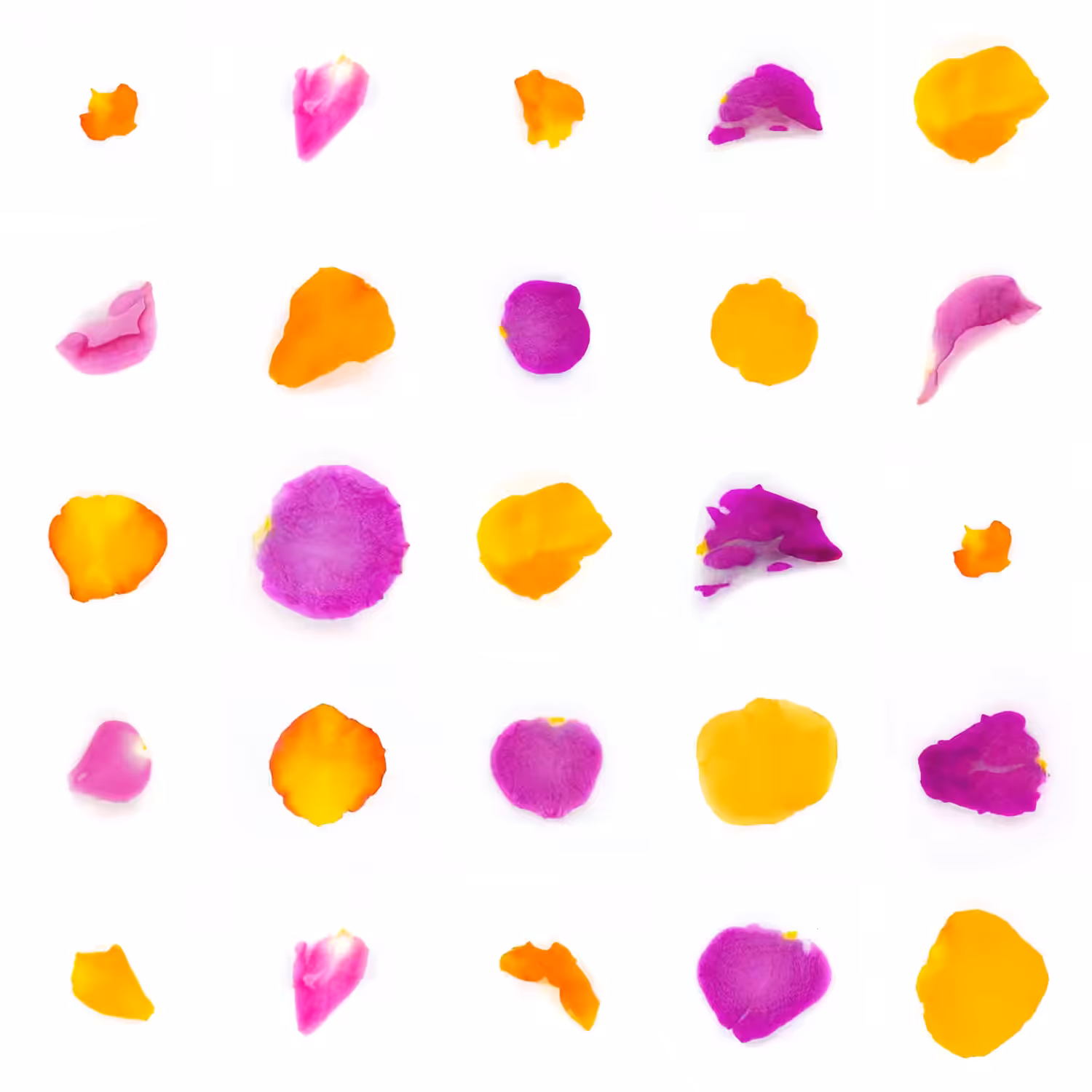 Infinite Petals 5x5#1150