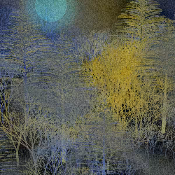 Moonlit Native Bush #121