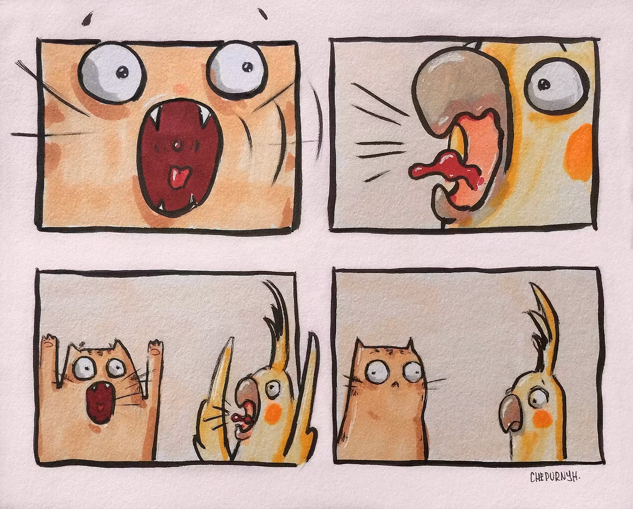 Meow and Squawk
