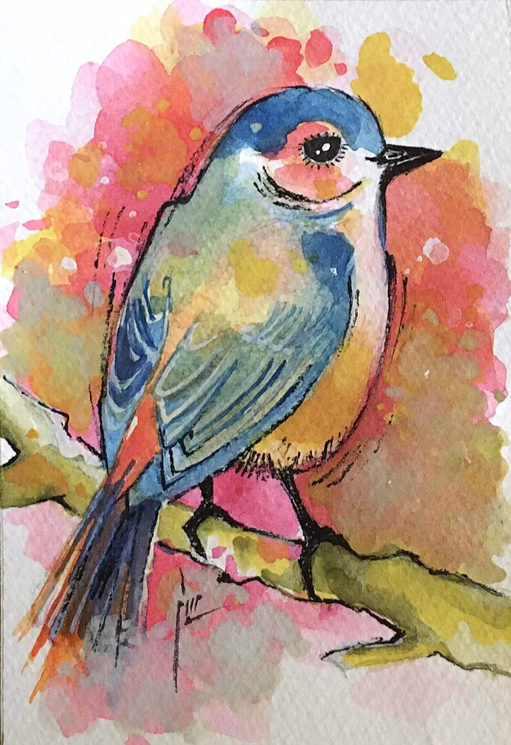 The Happy Valley: My little blue sparrow