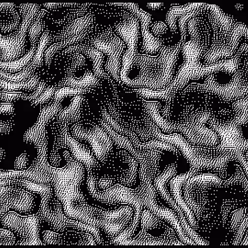 FORM