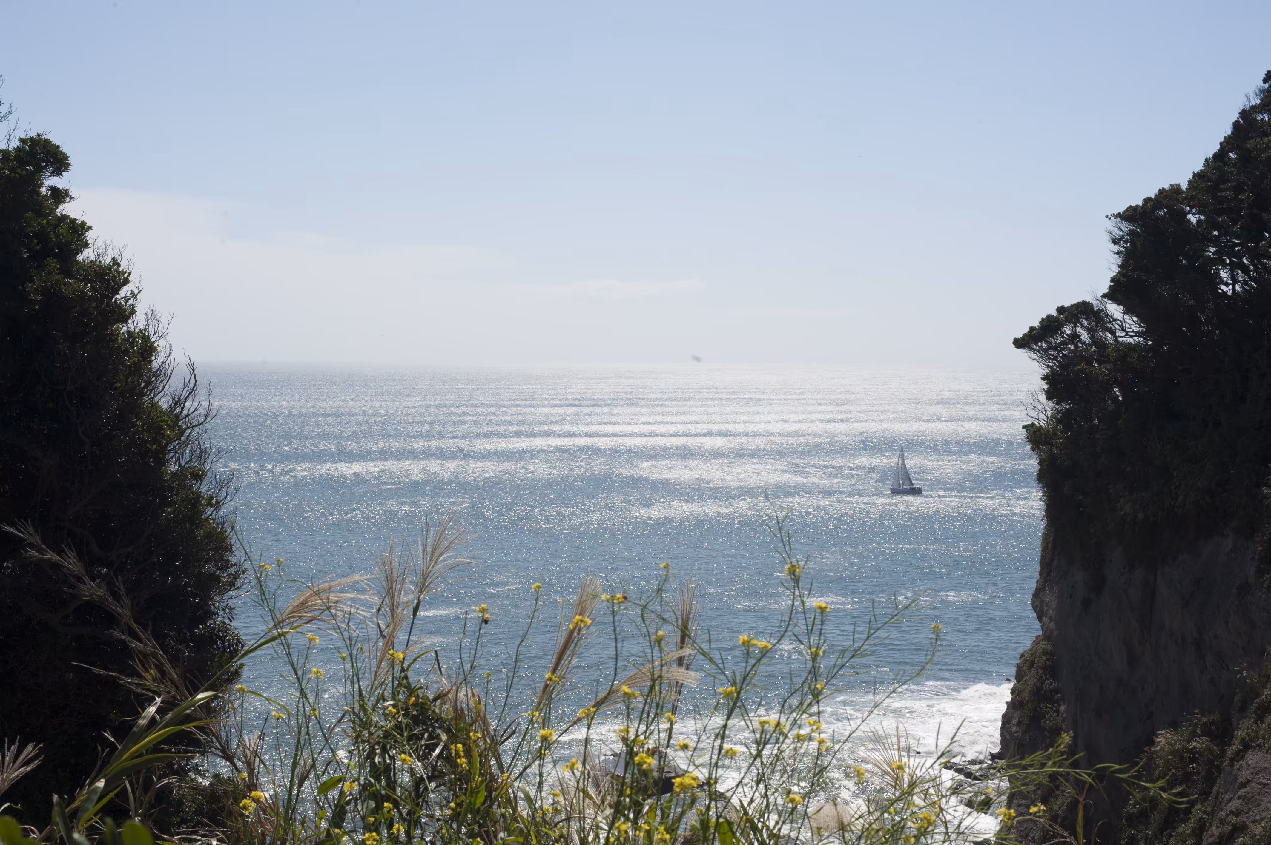 Day353 enoshima