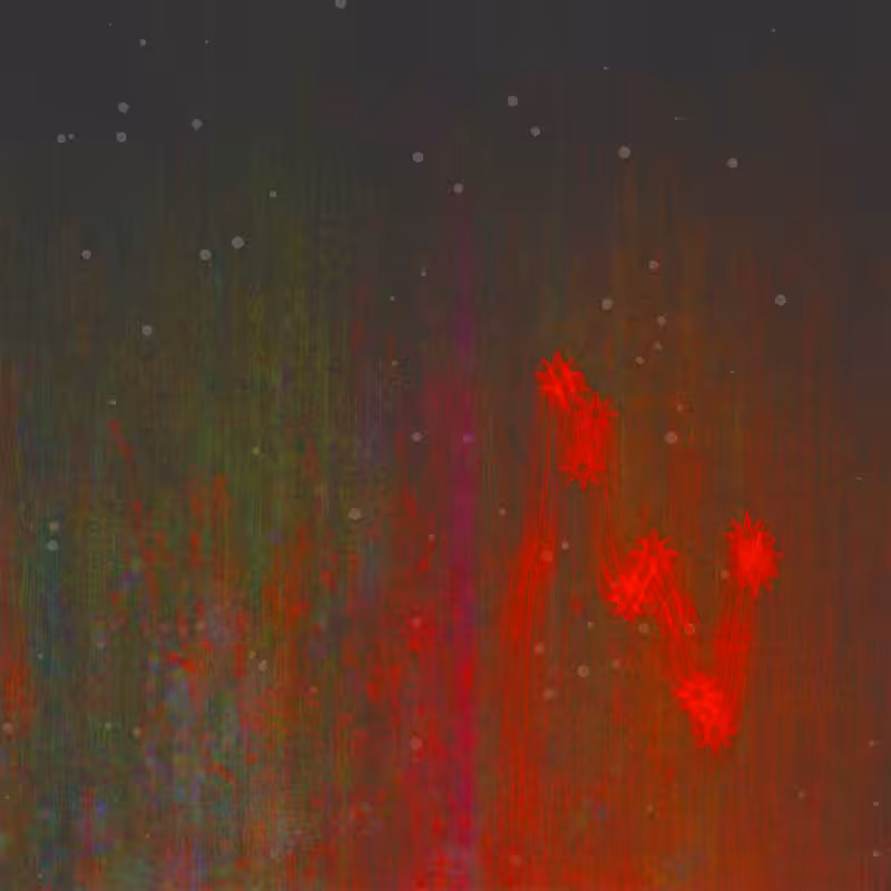 Specters of nature #98