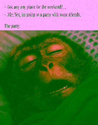Best party