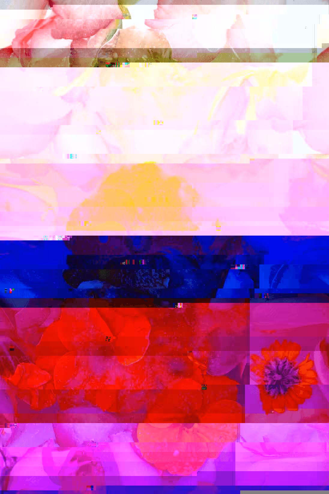 Glitch #15