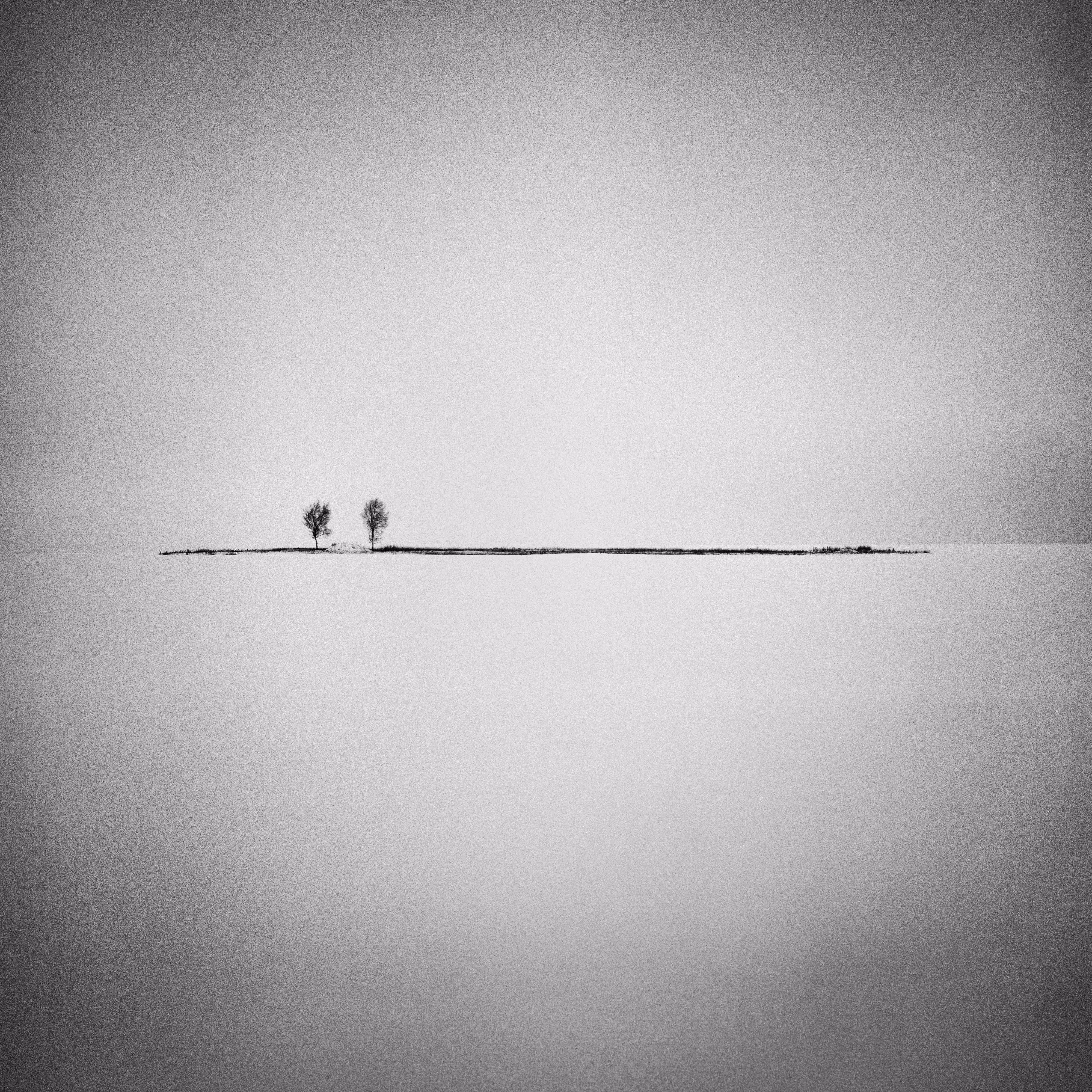 Two tiny trees