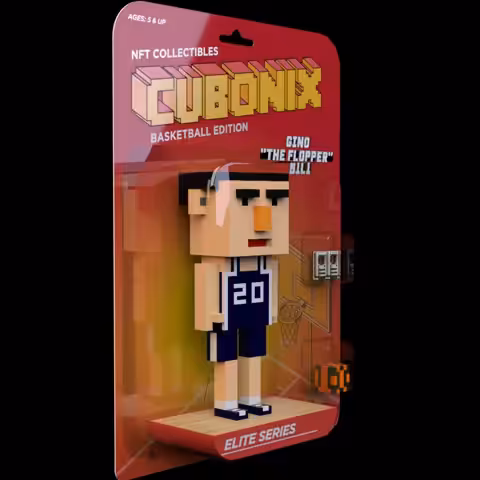 001 | The Flopper | Cubonix | Basket Edition