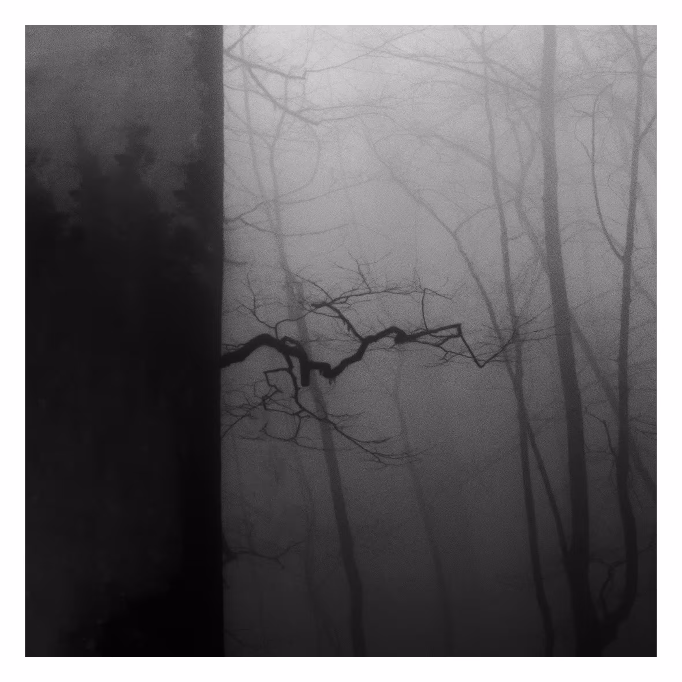 A piece of fog