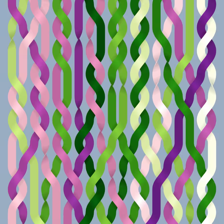 Endless Braids #63