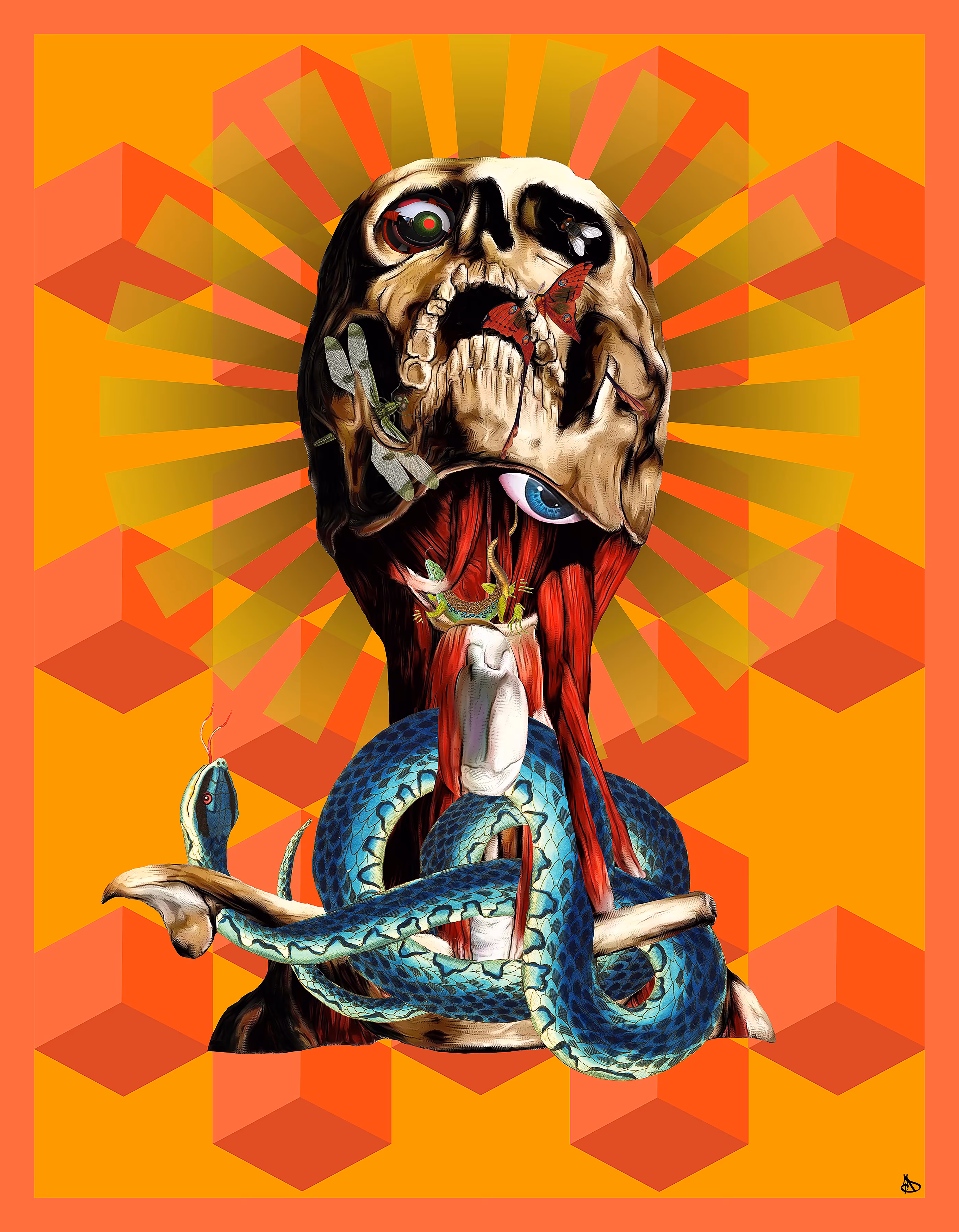Meditation of Pain 1.0