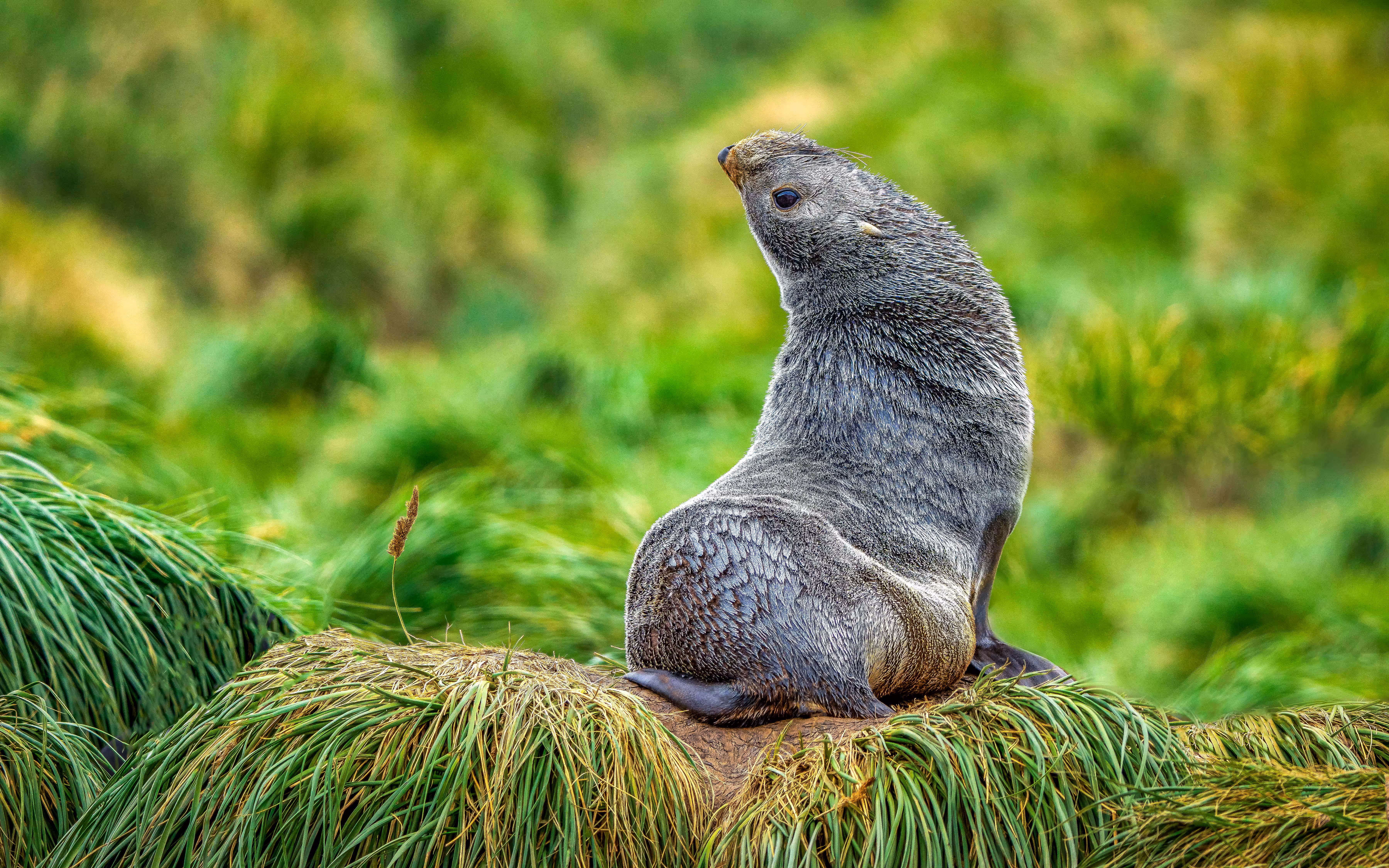 Strike a Pose