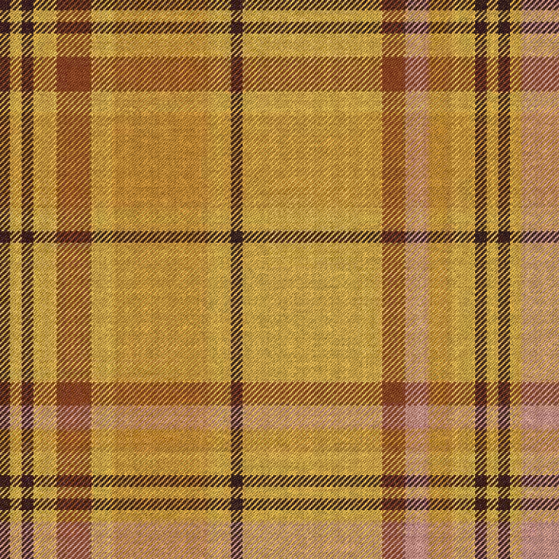 Tartan Cloth #3