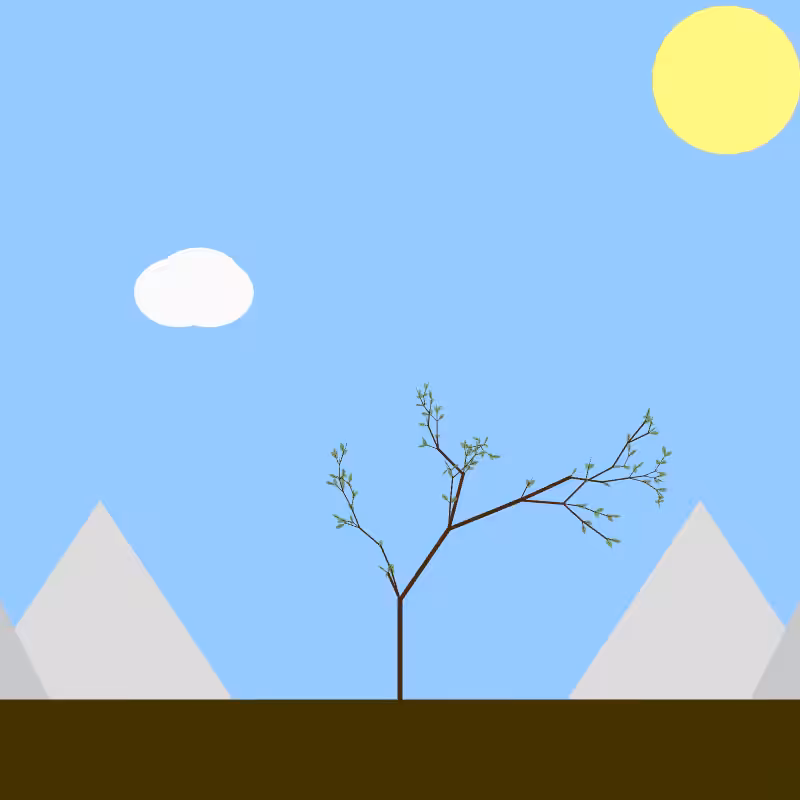 From seedling to tree #43