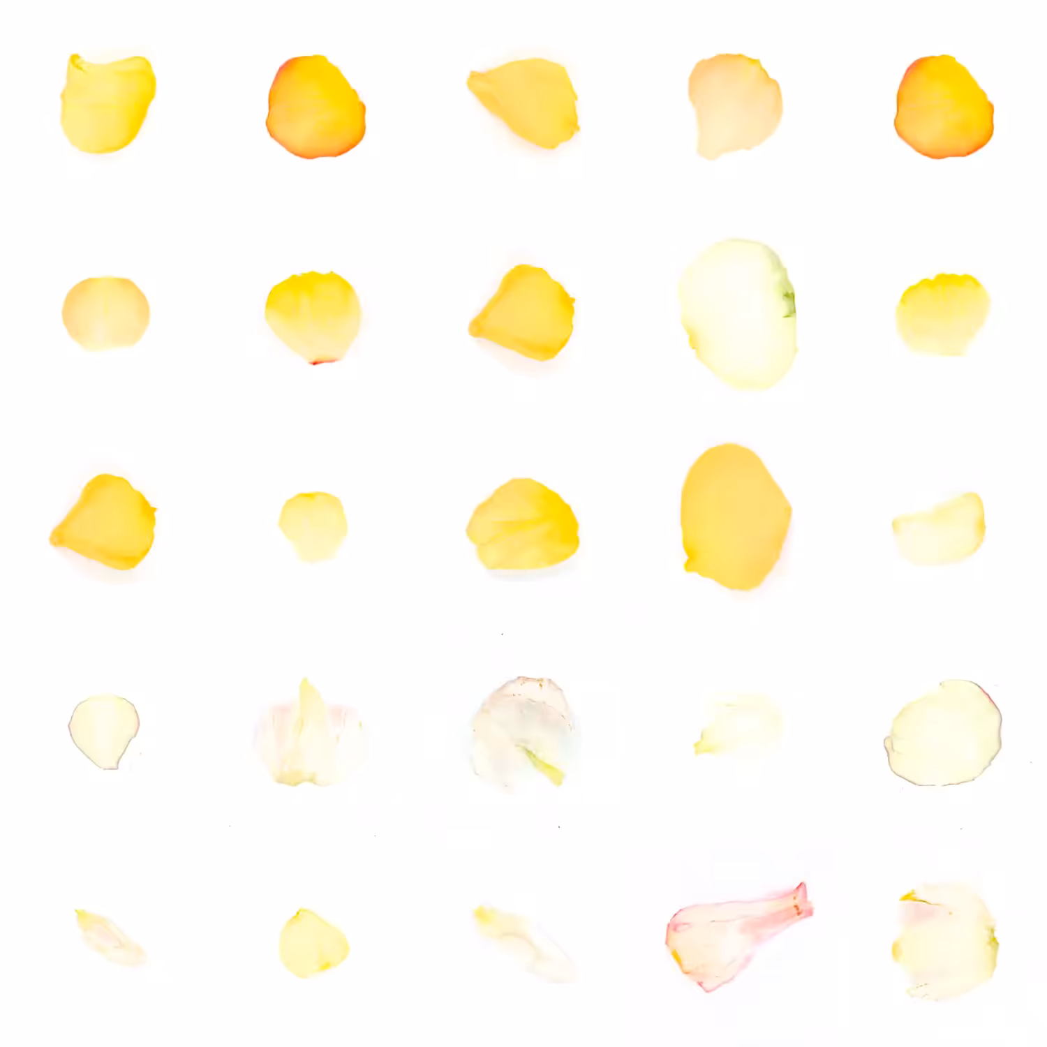 Infinite Petals 5x5#20681