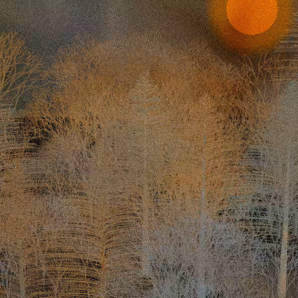 Moonlit Native Bush #102