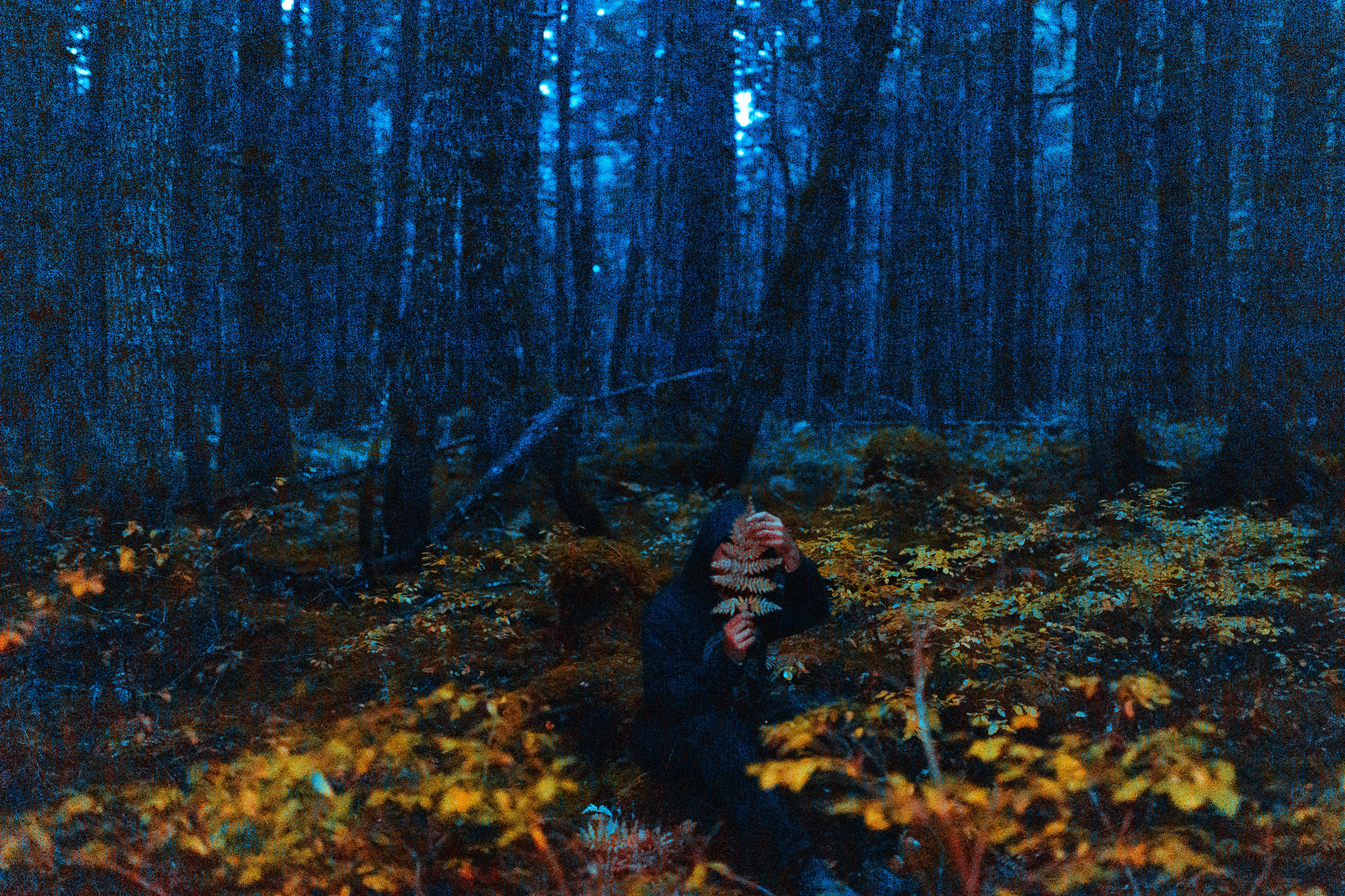 Internal Hallucinations